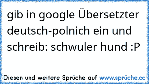 gib in google Übersetzter deutsch-polnich ein und schreib: schwuler hund :P