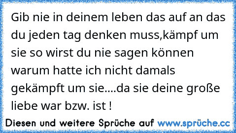 Gib nie in deinem leben das auf an das du jeden tag denken muss,kämpf um sie so wirst du nie sagen können warum hatte ich nicht damals gekämpft um sie....da sie deine große liebe war bzw. ist !