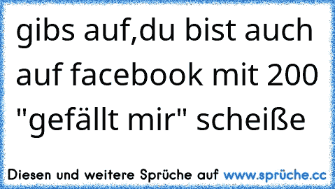 gibs auf,du bist auch auf facebook mit 200 "gefällt mir" scheiße