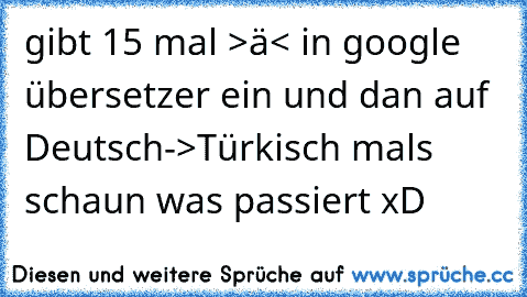 gibt 15 mal >ä< in google übersetzer ein und dan auf Deutsch->Türkisch 
mals schaun was passiert xD