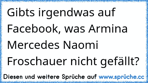 Gibts irgendwas auf Facebook, was Armina Mercedes Naomi Froschauer nicht gefällt?