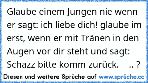 Glaube einem Jungen nie wenn er sagt: ich liebe dich! glaube im erst, wenn er mit Tränen in den Augen vor dir steht und sagt: Schazz bitte komm zurück.♥ ♥ ♥ ♥ .. ?