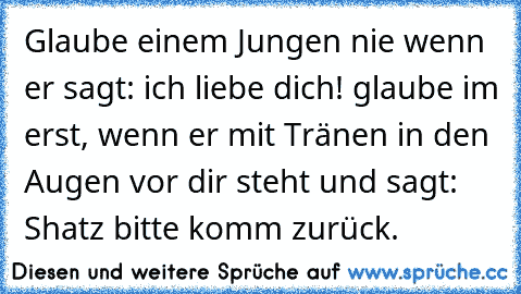 Glaube einem Jungen nie wenn er sagt: ich liebe dich! glaube im erst, wenn er mit Tränen in den Augen vor dir steht und sagt: Shatz bitte komm zurück.