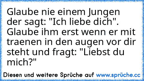 Glaube nie einem Jungen der sagt: "Ich liebe dich". Glaube ihm erst wenn er mit traenen in den augen vor dir steht und fragt: "Liebst du mich?"