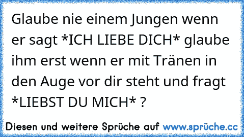 Glaube nie einem Jungen wenn er sagt *ICH LIEBE DICH* glaube ihm erst wenn er mit Tränen in den Auge vor dir steht und fragt *LIEBST DU MICH* ?