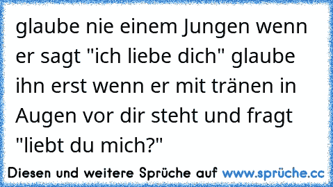 glaube nie einem Jungen wenn er sagt "ich liebe dich" glaube ihn erst wenn er mit tränen in Augen vor dir steht und fragt "liebt du mich?"