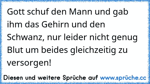 Gott schuf den Mann und gab ihm das Gehirn und den Schwanz, nur leider nicht genug Blut um beides gleichzeitig zu versorgen!