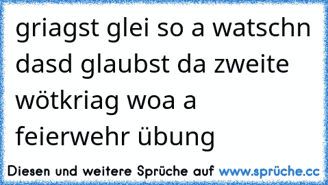 griagst glei so a watschn dasd glaubst da zweite wötkriag woa a feierwehr übung