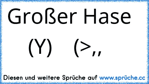 Großer Hase
       (Y)
    (>,,