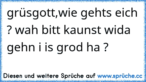 grüsgott,wie gehts eich ? wah bitt kaunst wida gehn i is grod ha ?