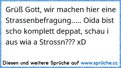 Grüß Gott, wir machen hier eine Strassenbefragung..... Oida bist scho komplett deppat, schau i aus wia a Strossn??? xD