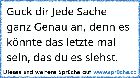 Guck dir Jede Sache ganz Genau an, denn es könnte das letzte mal sein, das du es siehst. ♥