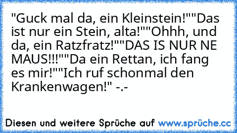 "Guck mal da, ein Kleinstein!"
"Das ist nur ein Stein, alta!"
"Ohhh, und da, ein Ratzfratz!"
"DAS IS NUR NE MAUS!!!"
"Da ein Rettan, ich fang es mir!"
"Ich ruf schonmal den Krankenwagen!" -.-