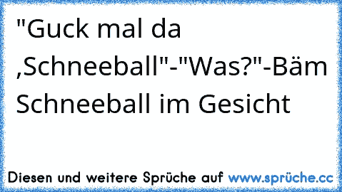 "Guck mal da ,Schneeball"-"Was?"-Bäm Schneeball im Gesicht