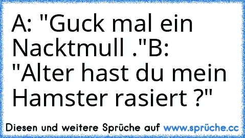 A: "Guck mal ein Nacktmull ."
B: "Alter hast du mein Hamster rasiert ?"