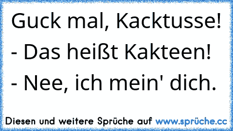 Guck mal, Kacktusse! - Das heißt Kakteen! - Nee, ich mein' dich.