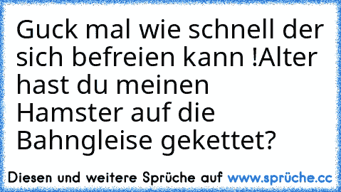 Guck mal wie schnell der sich befreien kann !
Alter hast du meinen Hamster auf die Bahngleise gekettet?