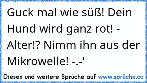 Guck mal wie süß! Dein Hund wird ganz rot! - Alter!? Nimm ihn aus der Mikrowelle! -.-'