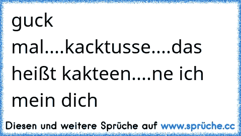 guck mal....kacktusse....das heißt kakteen....ne ich mein dich