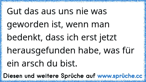 Gut das aus uns nie was geworden ist, wenn man bedenkt, dass ich erst jetzt herausgefunden habe, was für ein arsch du bist.