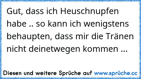 Gut, dass ich Heuschnupfen habe .. so kann ich wenigstens behaupten, dass mir die Tränen nicht deinetwegen kommen ...