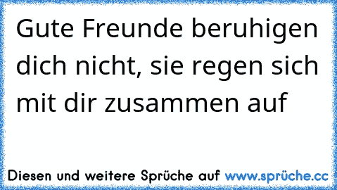 Gute Freunde beruhigen dich nicht, sie regen sich mit dir zusammen auf