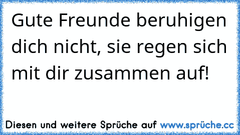 Gute Freunde beruhigen dich nicht, sie regen sich mit dir zusammen auf! ♥