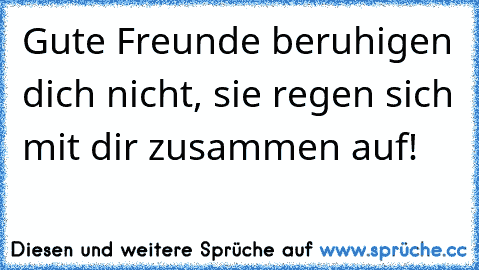 Gute Freunde beruhigen dich nicht, sie regen sich mit dir zusammen auf!