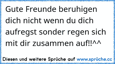 Gute Freunde beruhigen dich nicht wenn du dich aufregst sonder regen sich mit dir zusammen auf!!^^