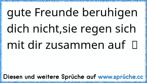 gute Freunde beruhigen dich nicht,sie regen sich mit dir zusammen auf  ツ   ♥