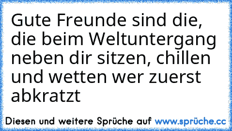 Gute Freunde sind die, die beim Weltuntergang neben dir sitzen, chillen und wetten wer zuerst abkratzt ♥