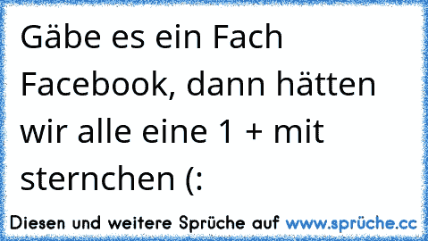 Gäbe es ein Fach Facebook, dann hätten wir alle eine 1 + mit sternchen (: