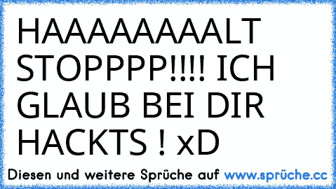 HAAAAAAAALT STOPPPP!!!! ICH GLAUB BEI DIR HACKTS ! xD