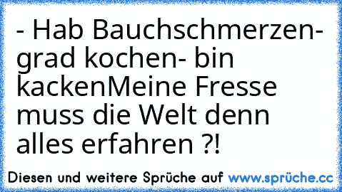 - Hab Bauchschmerzen
- grad kochen
- bin kacken
Meine Fresse muss die Welt denn alles erfahren ?!