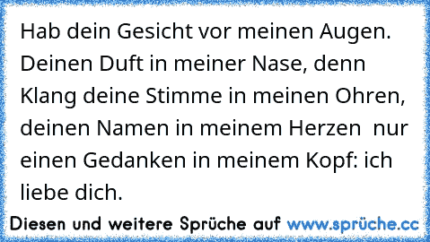 Hab dein Gesicht vor meinen Augen. Deinen Duft in meiner Nase, denn Klang deine Stimme in meinen Ohren, deinen Namen in meinem Herzen – nur einen Gedanken in meinem Kopf: ich liebe dich.