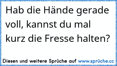 Hab die Hände gerade voll, kannst du mal kurz die Fresse halten?