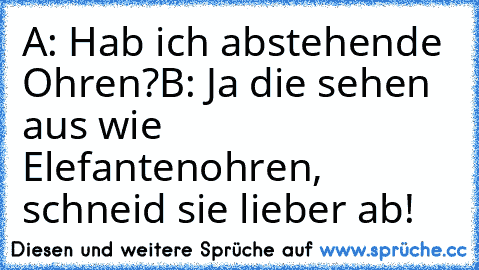 A: Hab ich abstehende Ohren?
B: Ja die sehen aus wie Elefantenohren, schneid sie lieber ab!