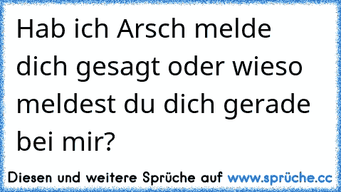 Hab ich Arsch melde dich gesagt oder wieso meldest du dich gerade bei mir?