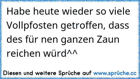 Habe heute wieder so viele Vollpfosten getroffen, dass des für nen ganzen Zaun reichen würd^^