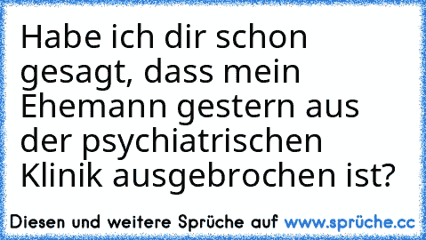 Habe ich dir schon gesagt, dass mein Ehemann gestern aus der psychiatrischen Klinik ausgebrochen ist?