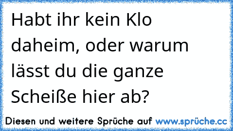 Habt ihr kein Klo daheim, oder warum lässt du die ganze Scheiße hier ab?