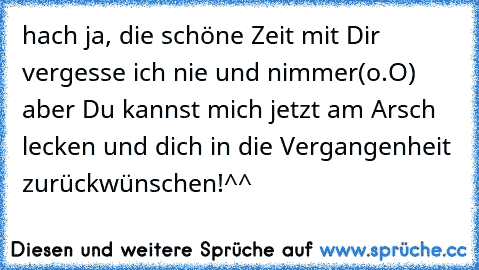 hach ja, die schöne Zeit mit Dir vergesse ich nie und nimmer(o.O) aber Du kannst mich jetzt am Arsch lecken und dich in die Vergangenheit zurückwünschen!^^