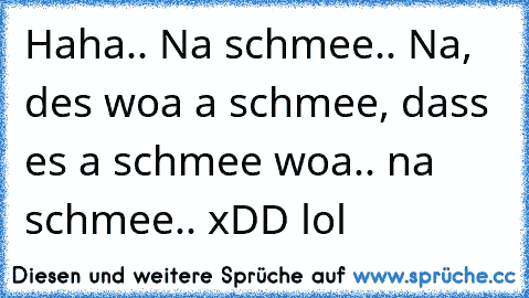 Haha.. Na schmee.. Na, des woa a schmee, dass es a schmee woa.. na schmee.. xDD lol