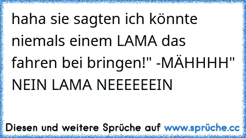 haha sie sagten ich könnte niemals einem LAMA das fahren bei bringen!" -MÄHHHH" NEIN LAMA NEEEEEEIN