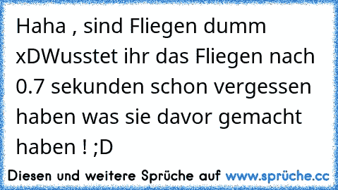 Haha , sind Fliegen dumm xD
Wusstet ihr das Fliegen nach 0.7 sekunden schon vergessen haben was sie davor gemacht haben ! ;D