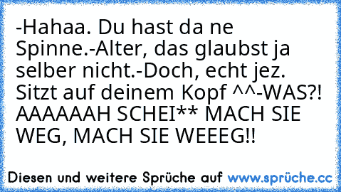 -Hahaa. Du hast da ne Spinne.
-Alter, das glaubst ja selber nicht.
-Doch, echt jez. Sitzt auf deinem Kopf ^^
-WAS?! AAAAAAH SCHEI** MACH SIE WEG, MACH SIE WEEEG!!