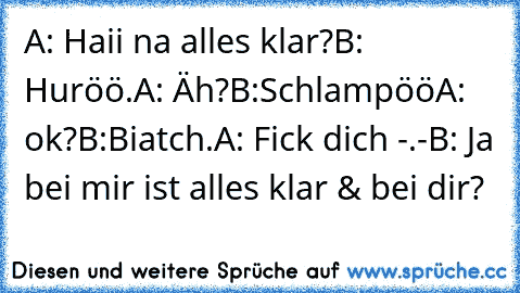 A: Haii na alles klar?
B: Huröö.
A: Äh?
B:Schlampöö
A: ok?
B:Biatch.
A: Fick dich -.-
B: Ja bei mir ist alles klar & bei dir?