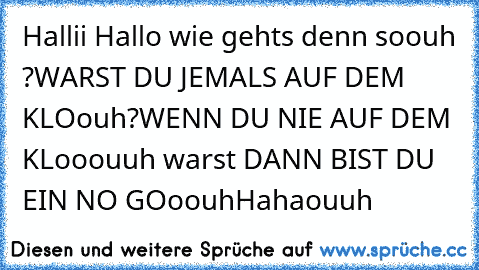 Hallii Hallo wie gehts denn soouh ?
WARST DU JEMALS AUF DEM KLOouh?
WENN DU NIE AUF DEM KLooouuh warst DANN BIST DU EIN NO GOoouh
Hahaouuh