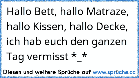 Hallo Bett, hallo Matraze, hallo Kissen, hallo Decke,  ich hab euch den ganzen Tag vermisst *_*