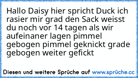 Hallo Daisy hier spricht Duck ich rasier mir grad den Sack weisst du noch vor 14 tagen als wir aufeinaner lagen pimmel gebogen pimmel geknickt grade gebogen weiter gefickt